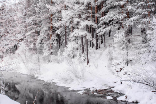 Снег зимой на реке Китой. -30 °C. Лес в зимнем наряде на берегу реки.
