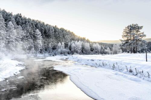 winter, river, snow, threes, ice, sky, frost, 